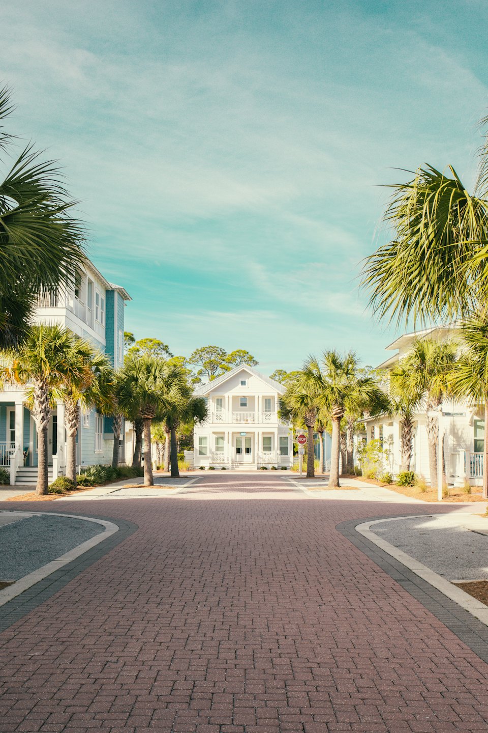 Palm trees line a residential street with light blue houses.